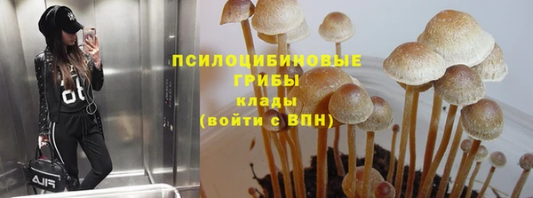 не бодяженный Алексин