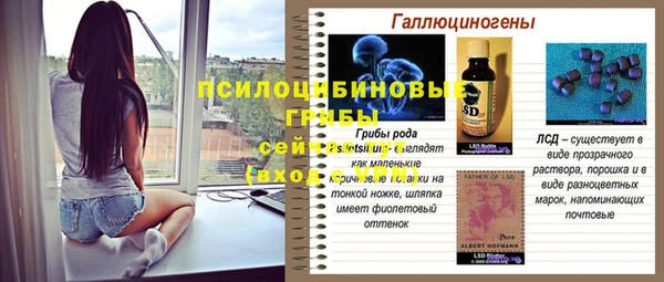 не бодяженный Алексин