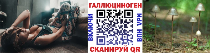 Псилоцибиновые грибы GOLDEN TEACHER  цена наркотик  Шахты 